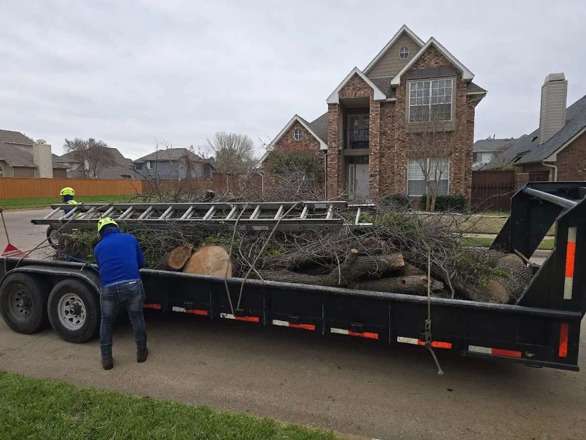 Expert Tree Fertilization with proper safety equipment in Lynn
